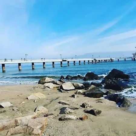 Cosy Near The With Terrace & Sea View アパート